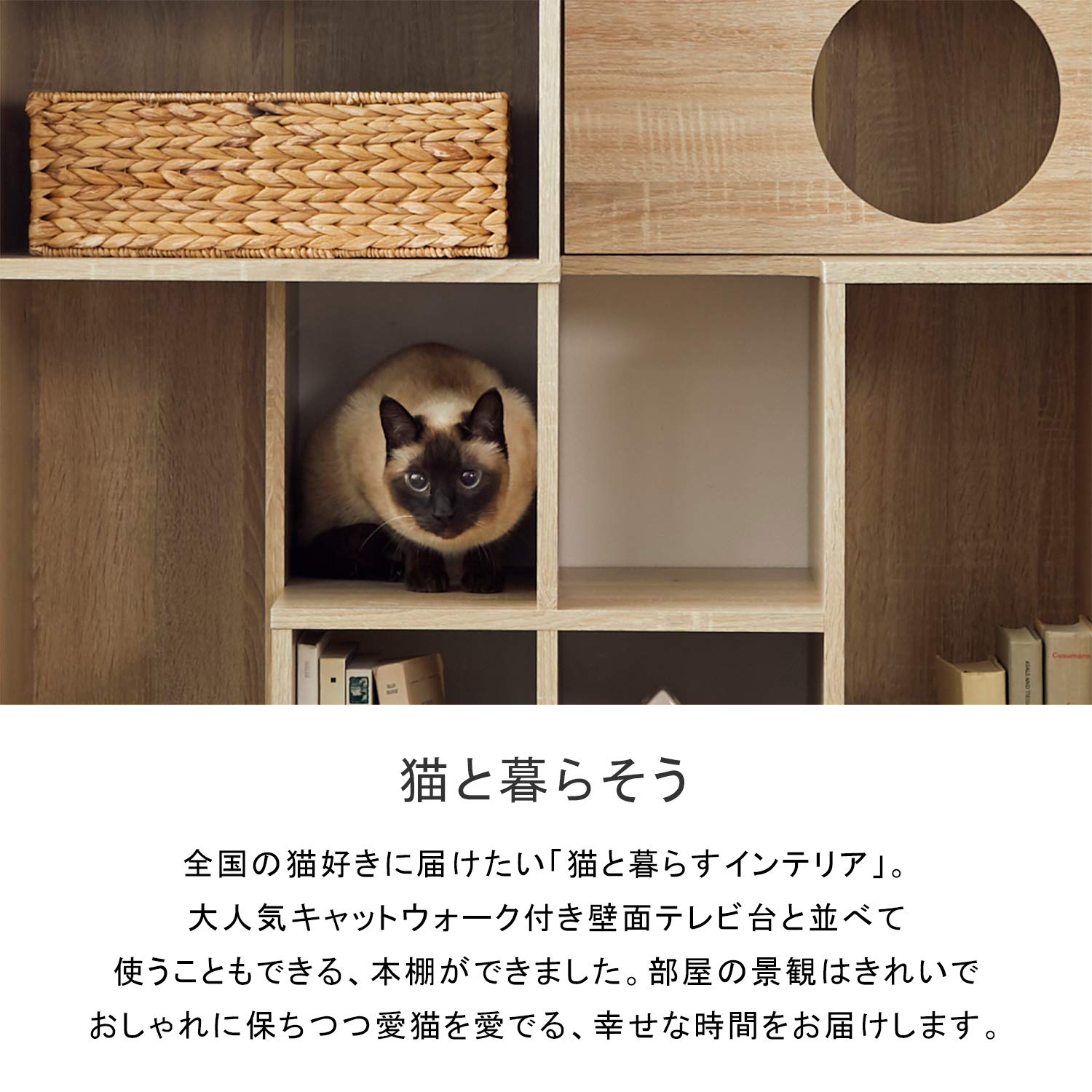 Amazon | LOWYA ロウヤ 猫 家具 キャットタワー キャットウォーク 壁面