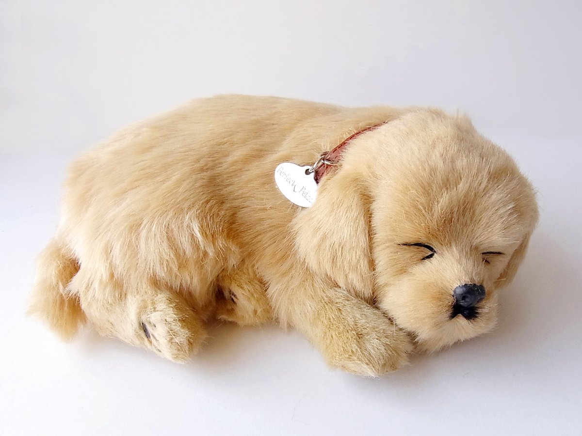 Amazon.co.jp: ニニアンドキノ パーフェクトペット (小サイズ