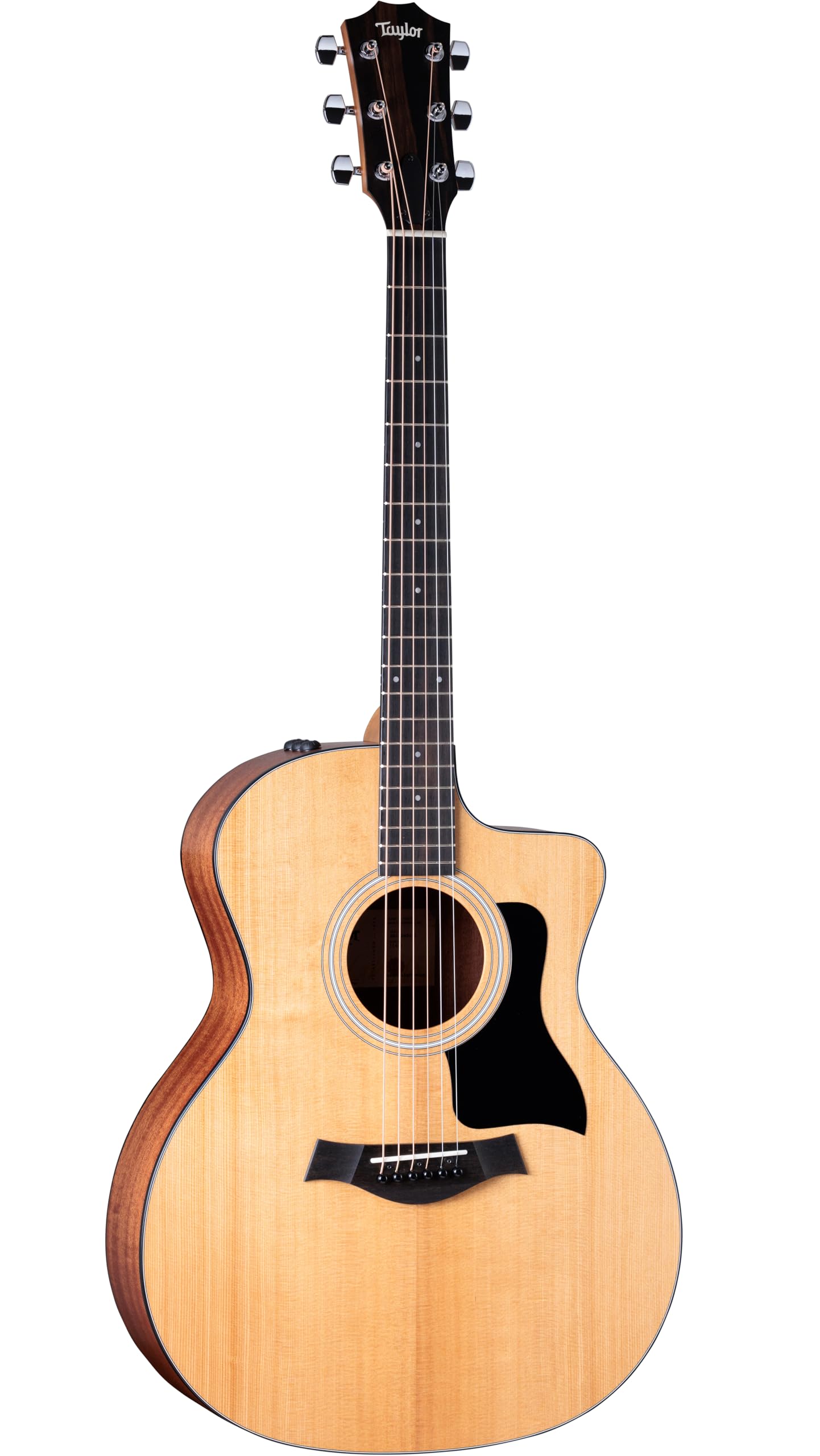 Amazon | Taylor Taylor 114ce グランドオーディトリアム