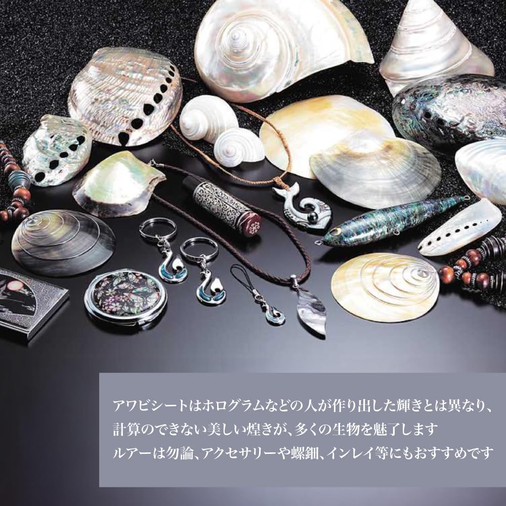 夜光貝 ヤコウ貝 まとめ売り 20個 16、7kg アクセサリー ルアー 夜光貝