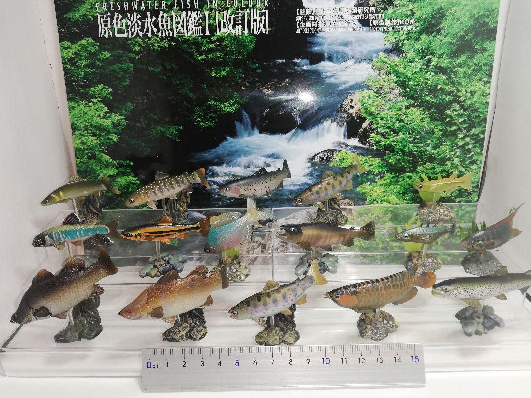 Amazon.co.jp: ユージン 原色淡水魚図鑑Ⅰ 初版 全16種 フル