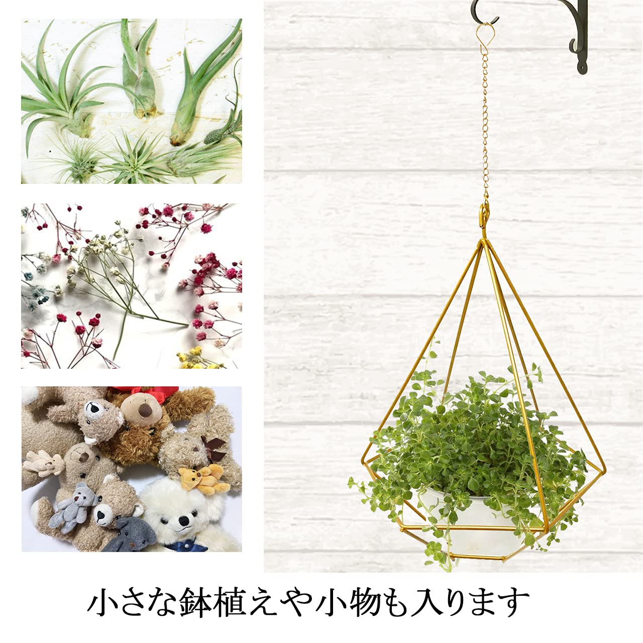 Amazon | dodtazz アイアン プラントハンガー エアプランツ 観葉植物鉢