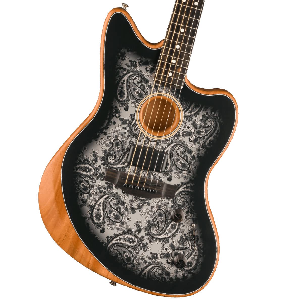 Amazon | Fender/Limited Edition American Acoustasonic JAZZMASTER