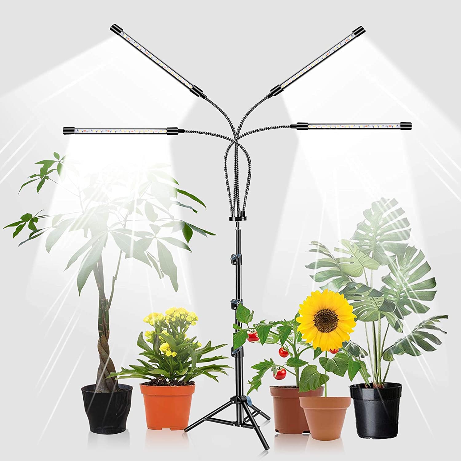 Amazon.co.jp: LED植物育成ライト、スタンド付き4ヘッドプラントライト