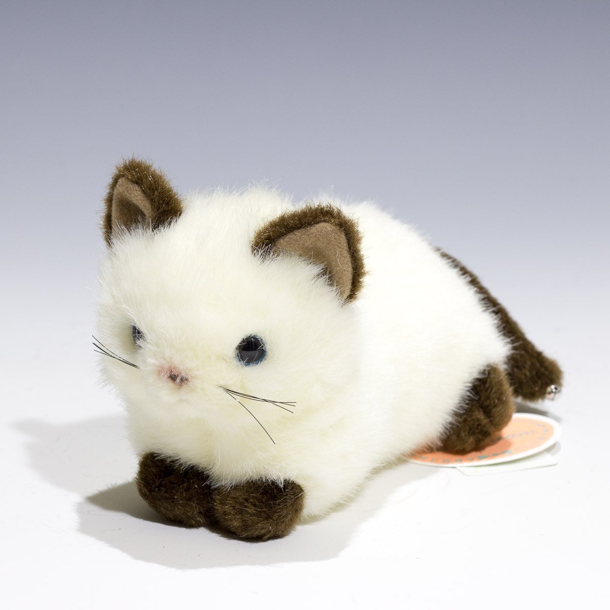 Amazon.co.jp: たけのこ プチどりーむ ミニ A シャムネコ ぬいぐるみ