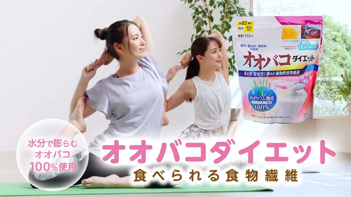 Amazon.co.jp: 井藤漢方製薬 オオバコサプリメント【オオバコ
