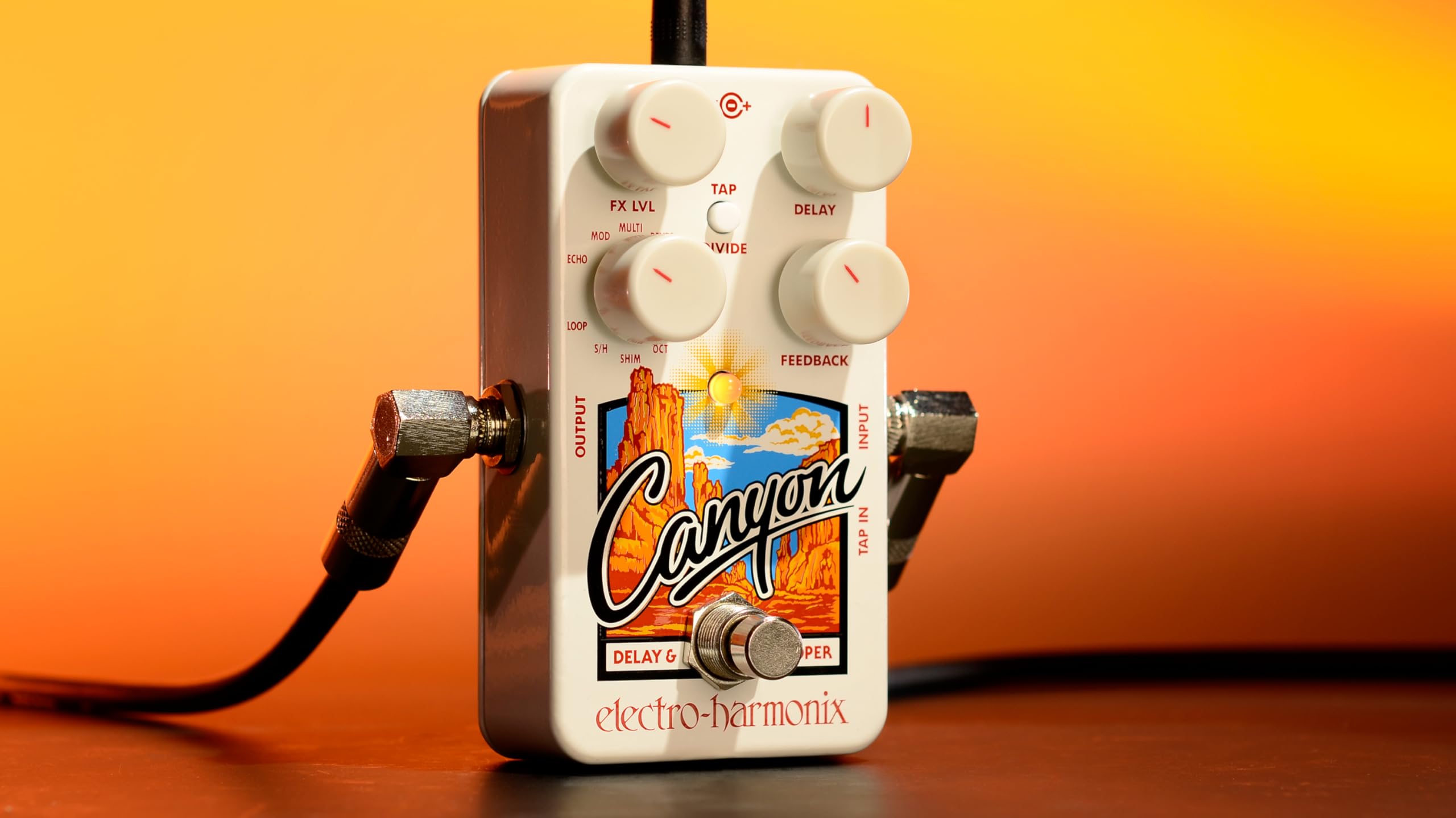 Amazon.com: Electro-Harmonix Canyon Delay & Looper Pedal : Musical