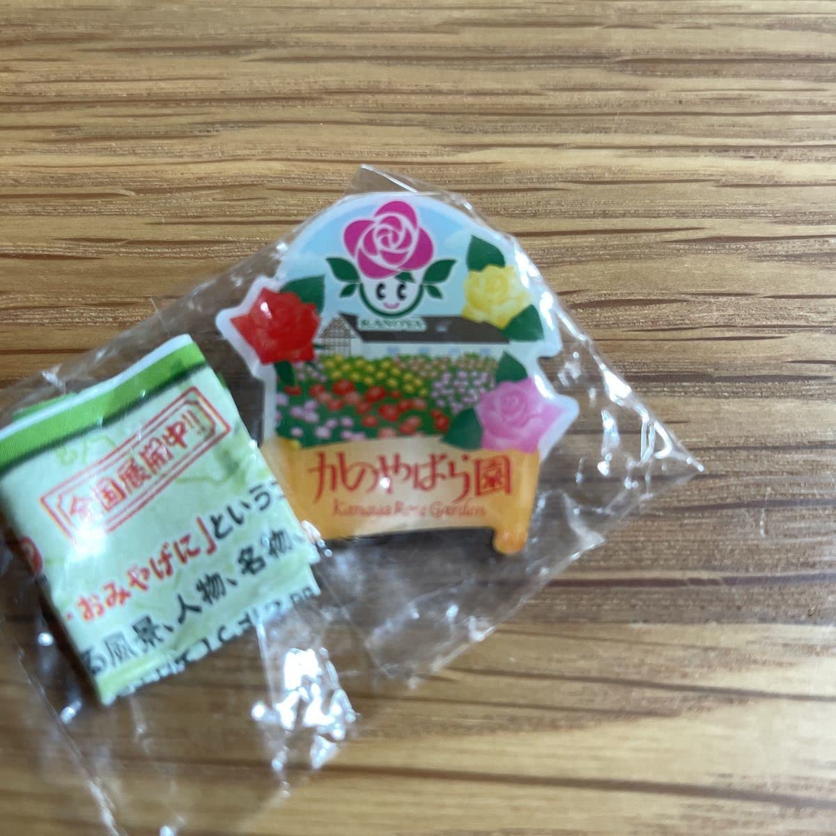 Amazon.co.jp: ご当地ピンズDX鹿児島県ピンバッジ ①桜島&桜島フェリー