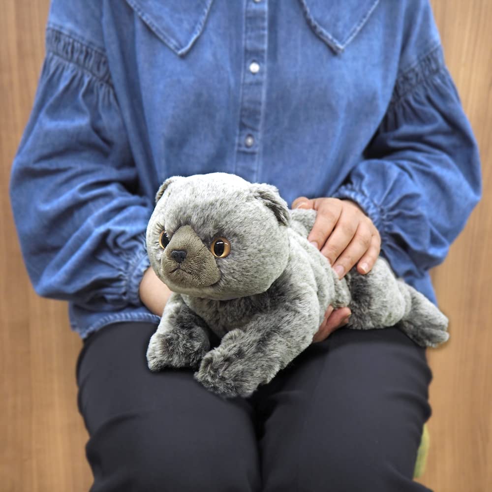 Amazon.co.jp: サンレモン ひざねこ スコティッシュフォールド GY 極も