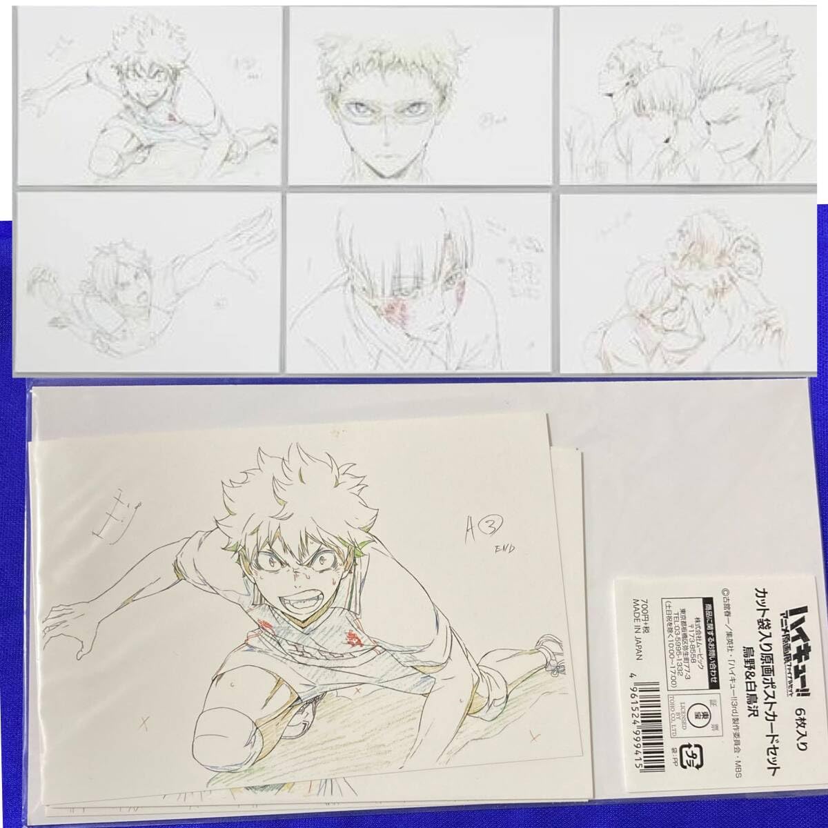 Amazon.co.jp: ハイキュー!! ジャンプショップ 原画ポストカード