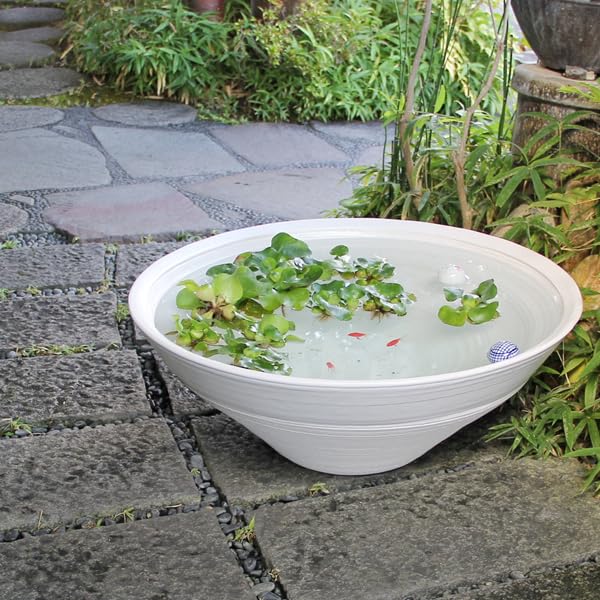 珍品 特大 水鉢 大鉢 花器 大皿 作者不明 直径63cm オブジェ 珍品 特大