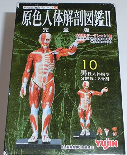 Amazon.co.jp: 原色シリーズ25 原色人体解剖図鑑Ⅱ 完全版 歯烈発育