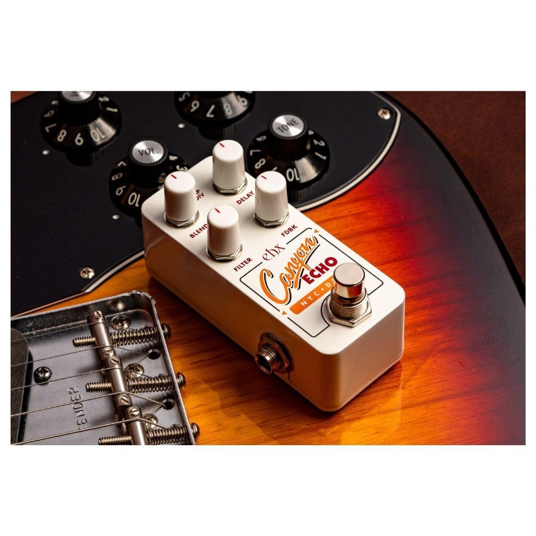 Amazon.com: Electro-Harmonix Pico Canyon Echo Delay Pedal