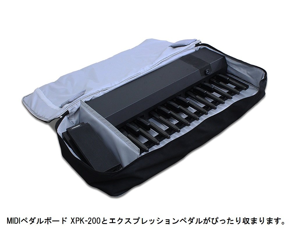 Amazon | HAMMOND ハモンド ステージキーボードSKX・SK2用 ソフト