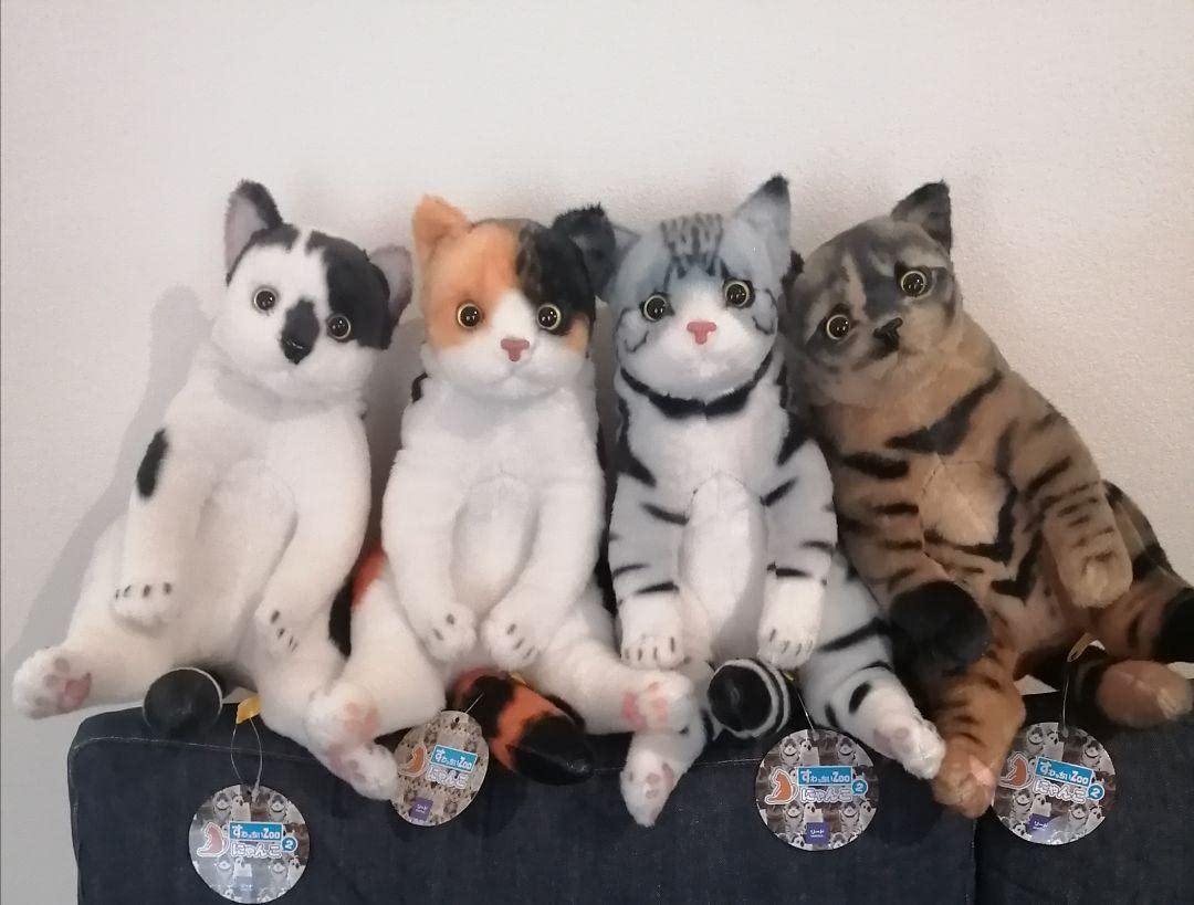 Amazon.co.jp: すわっちぃzoo にゃんこ 猫 ぬいぐるみ 三毛猫