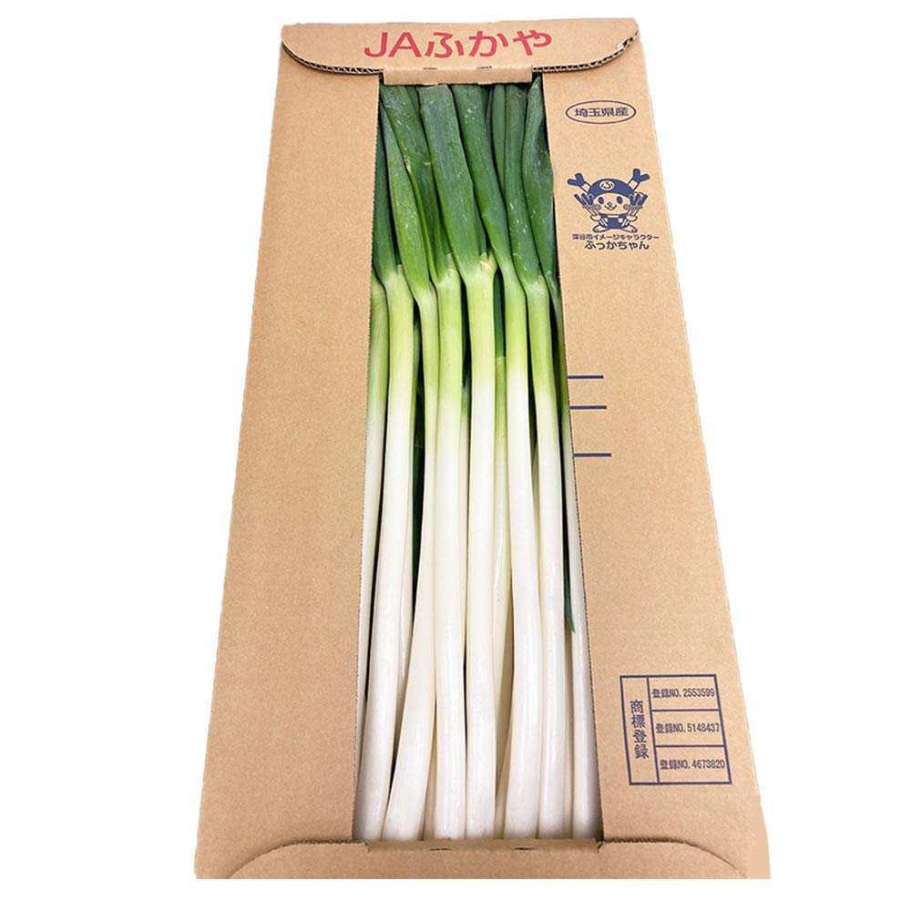 Amazon.co.jp: 国産 長ねぎ 約15kg（5kg×3箱）M～2Lサイズ｜埼玉/茨城