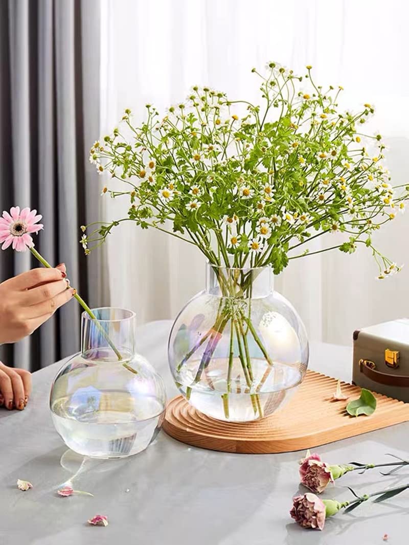 Amazon｜ガラス花瓶 花器丸い円形丸型花瓶 おしゃれ 花瓶北欧 花瓶