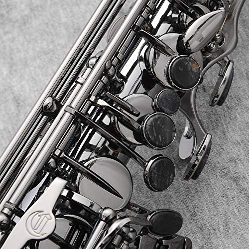 Amazon | Cannonball A5 アルトサックス BIG BELL STONE SERIES アン