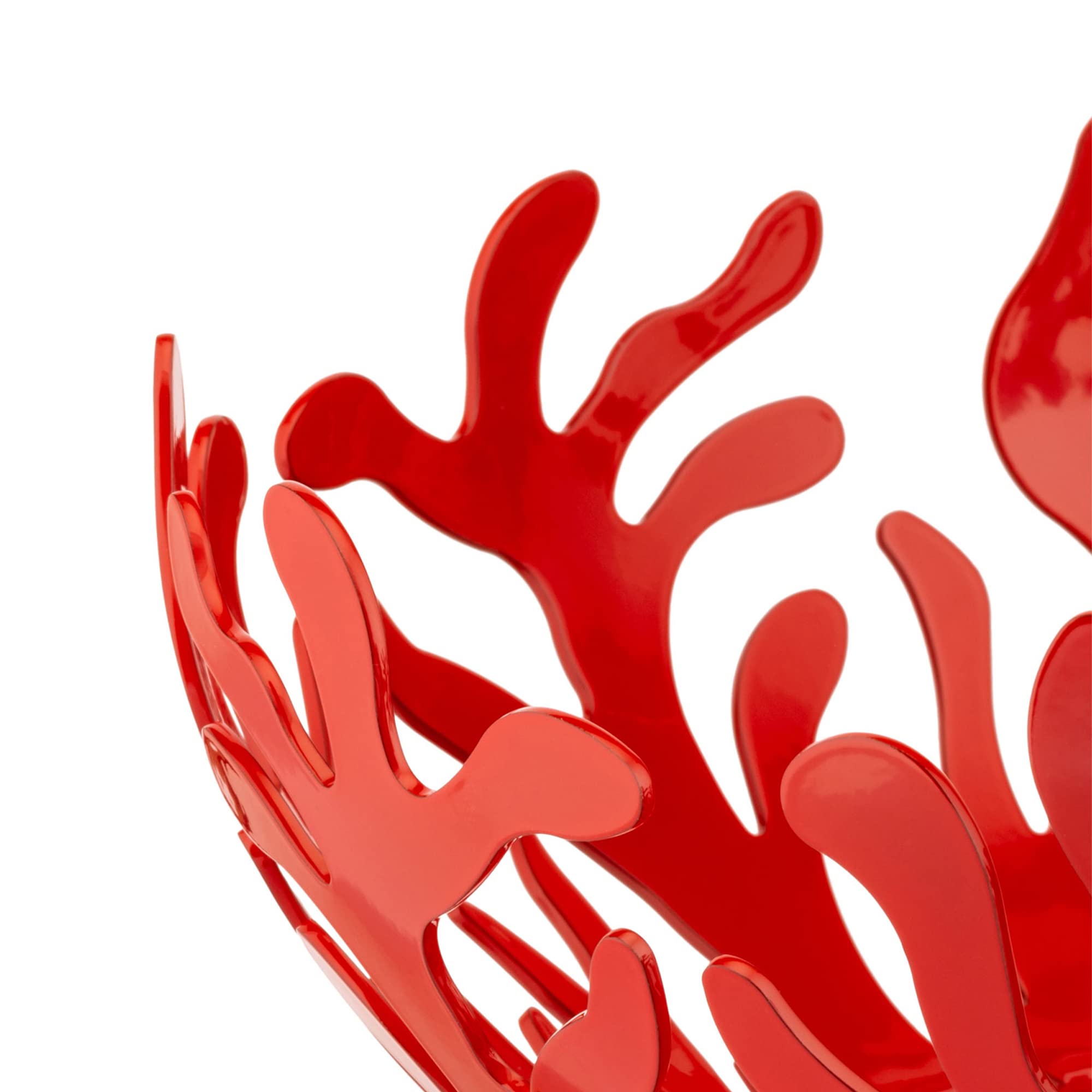 Amazon.com: Alessi ESI01/29 R Mediterraneo Fruit Holder in