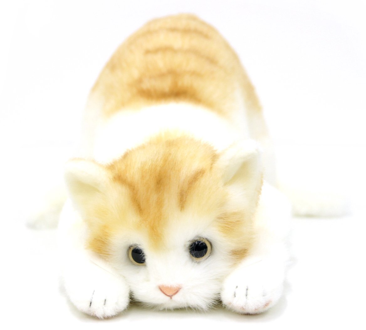 Amazon.co.jp: リアルシリーズ 日本製 リアルな猫のぬいぐるみ 58cm