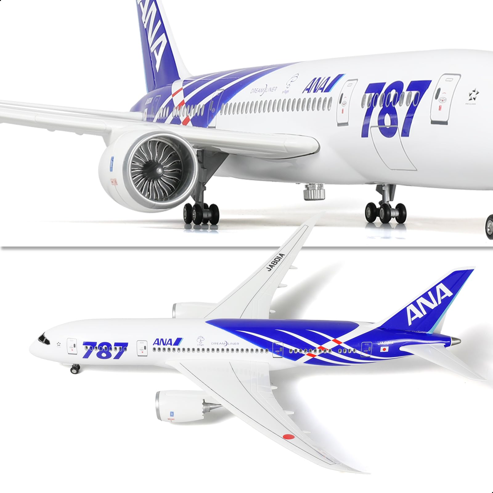 Amazon | QIYUMOKE ANA 1/160 787 大型模型飛行機 完成品 スタンド付き