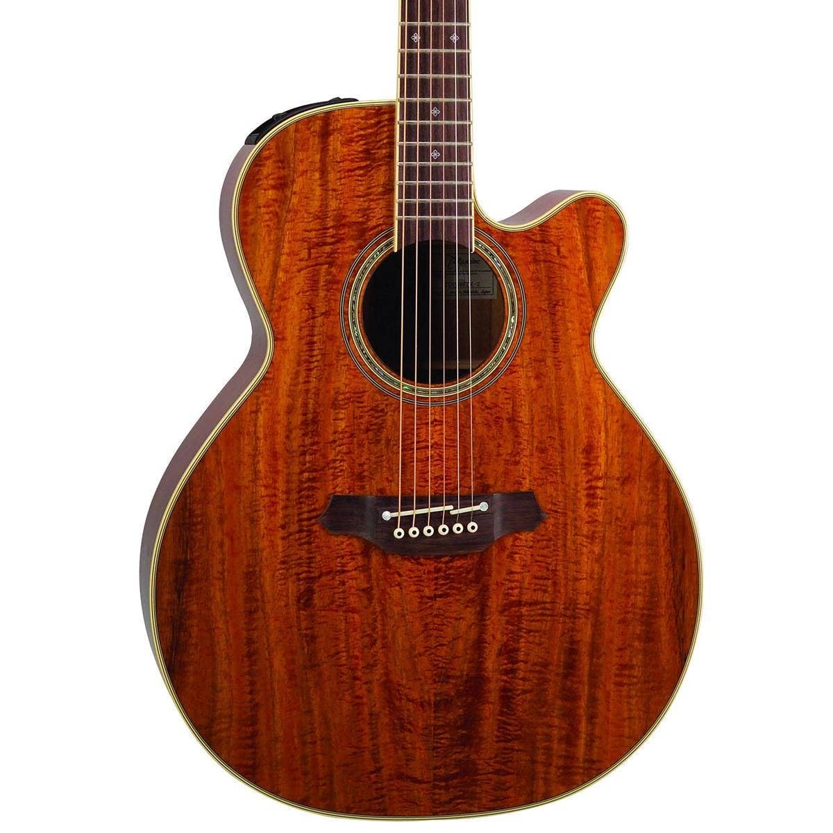 Amazon.com: Takamine Pro Series EF508KC NEX All Koa Acoustic