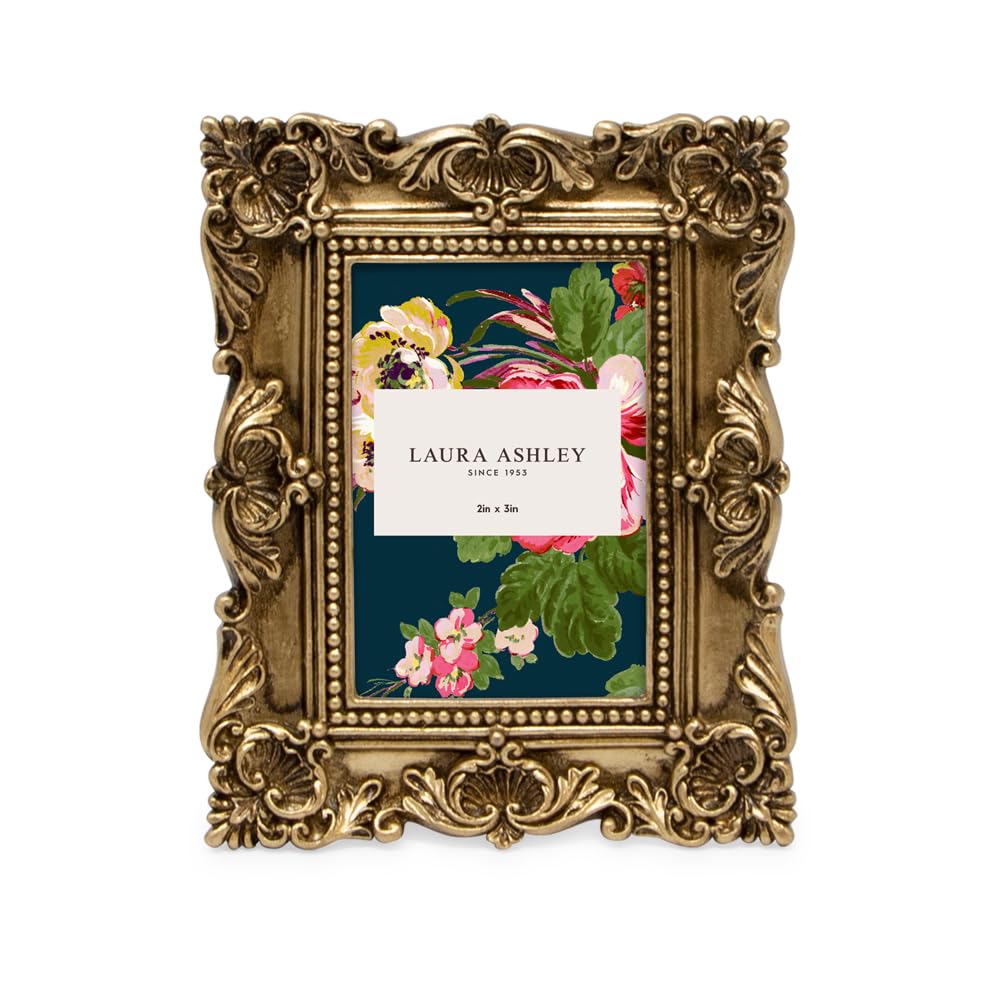 Amazon.com - Laura Ashley 2x3 Gold Ornate Textured Hand-Crafted