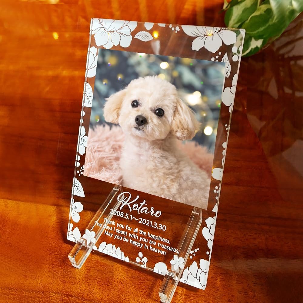 Amazon.co.jp: [オーダーメイド ] フォトフレーム ペット 写真 写真