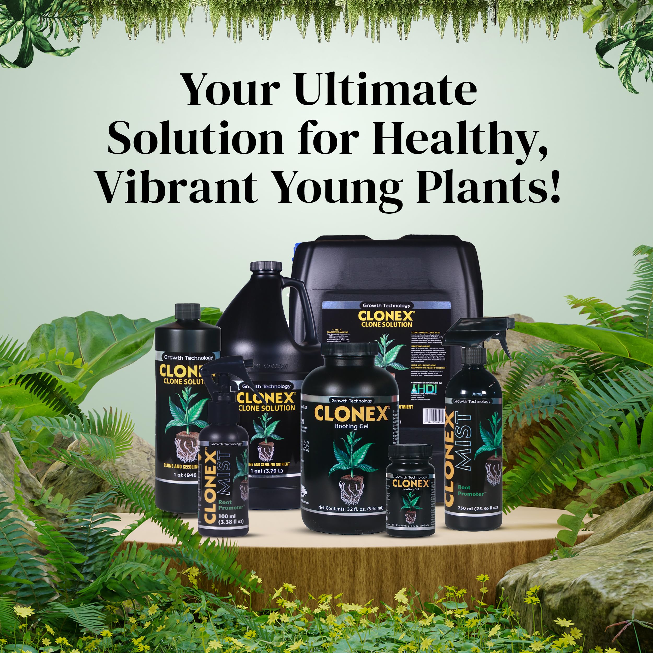 Amazon.com : Clonex Rooting Gel - High-Performance Rooting