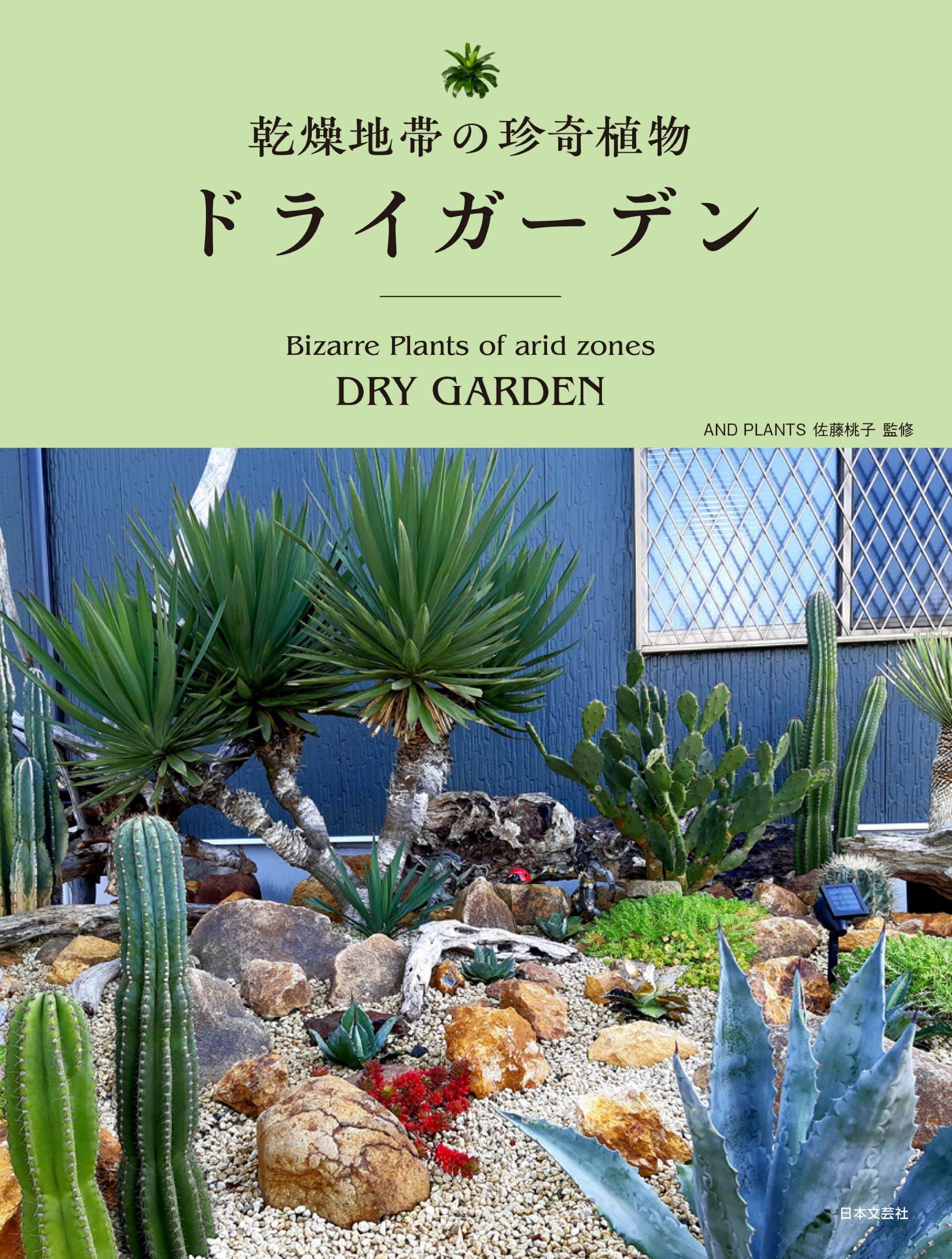 乾燥地帯の珍奇植物 ドライガーデン | AND PLANTS 佐藤桃子 |本 | 通販