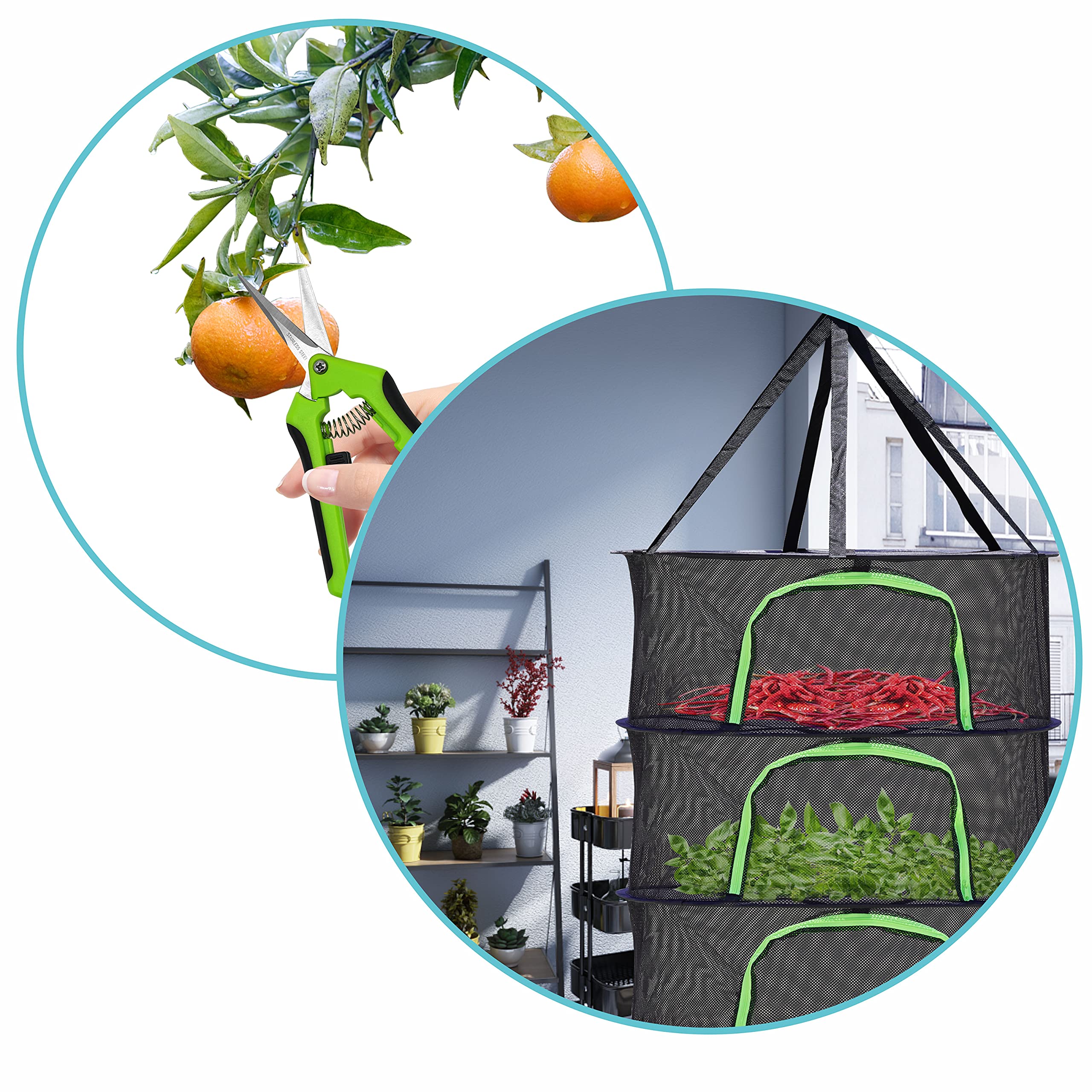 Amazon.co.jp: ハーブ乾燥ラック 食品脱水機 植物 ハンギングメッシュ
