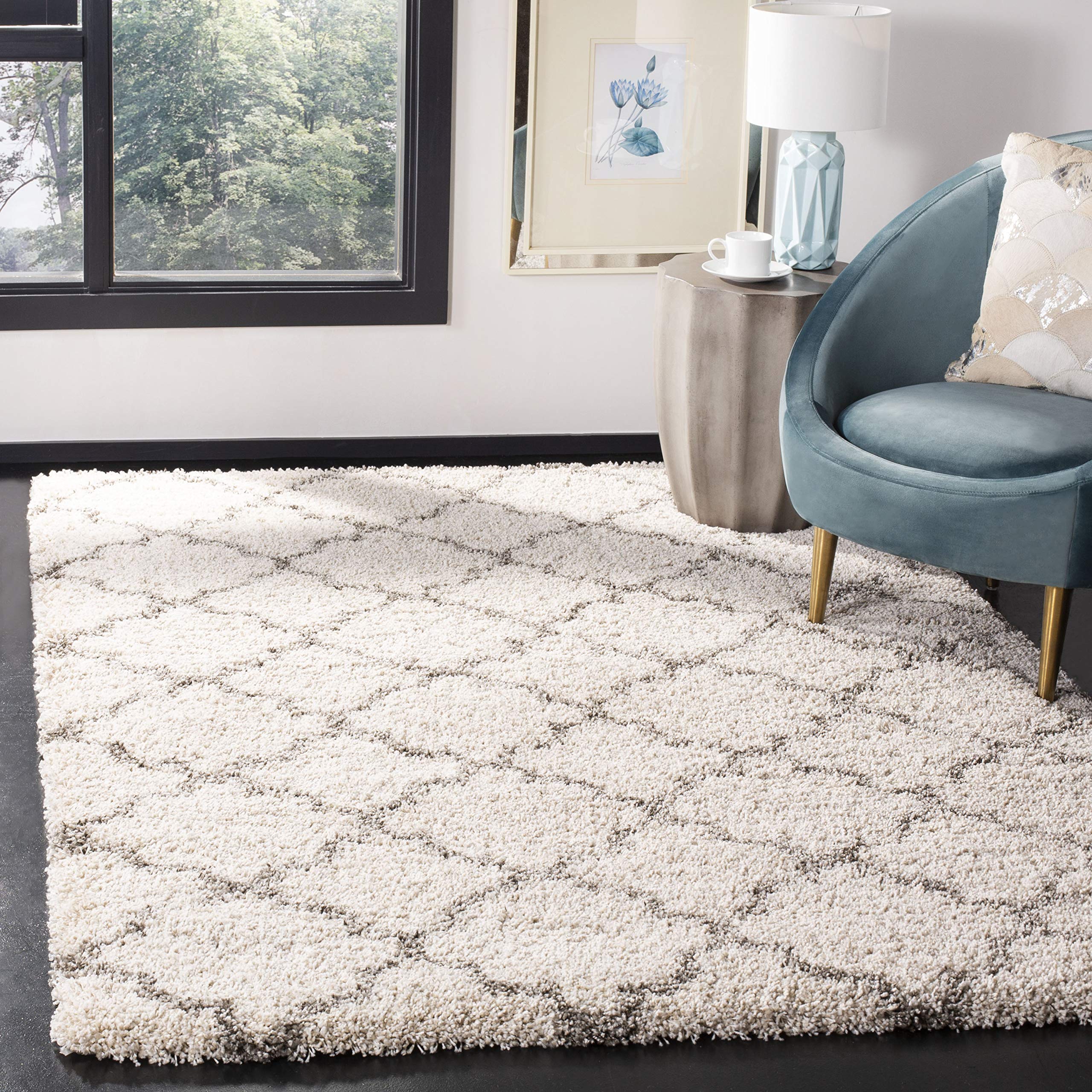 Amazon.com: SAFAVIEH Area Rug 8x10 - Hudson Shag Collection