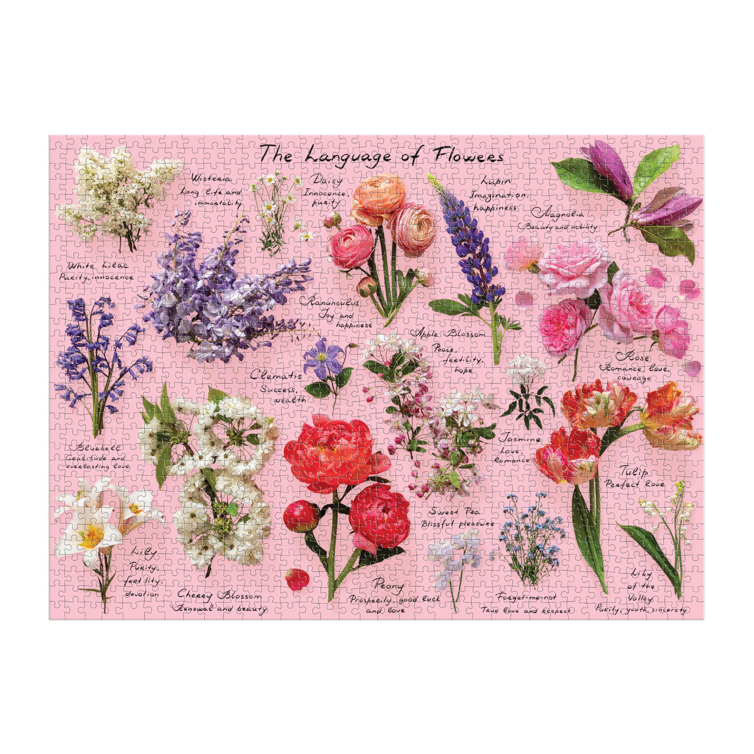 Amazon.com: Galison Language of Flowers – 1000 Piece Puzzle