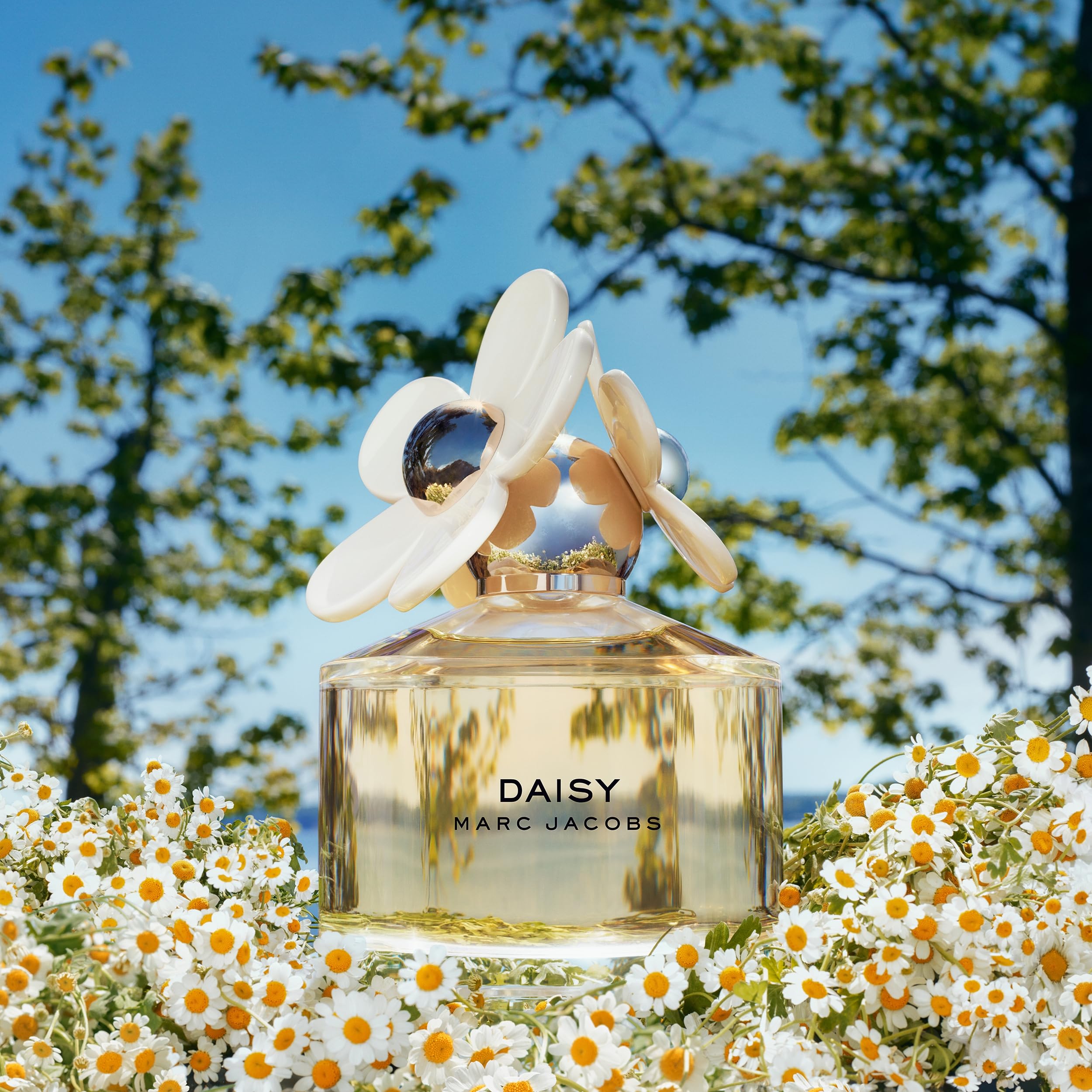 Amazon | マークジェイコブス デイジー オードトワレ 50mL | Marc