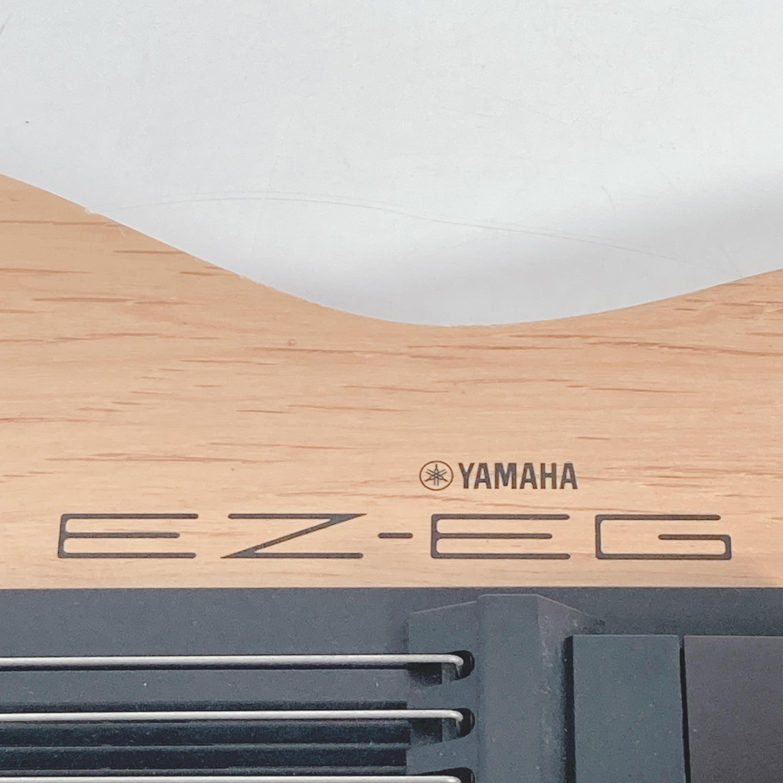 Amazon | ヤマハ イージーギター EZ-EG | エレキギター | 楽器・音響機器