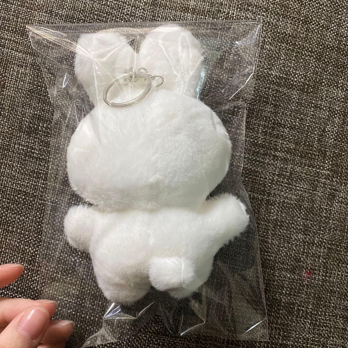 Amazon.co.jp: イコラブ 野口衣織 ぬいぐるみ ツアー着用 : おもちゃ