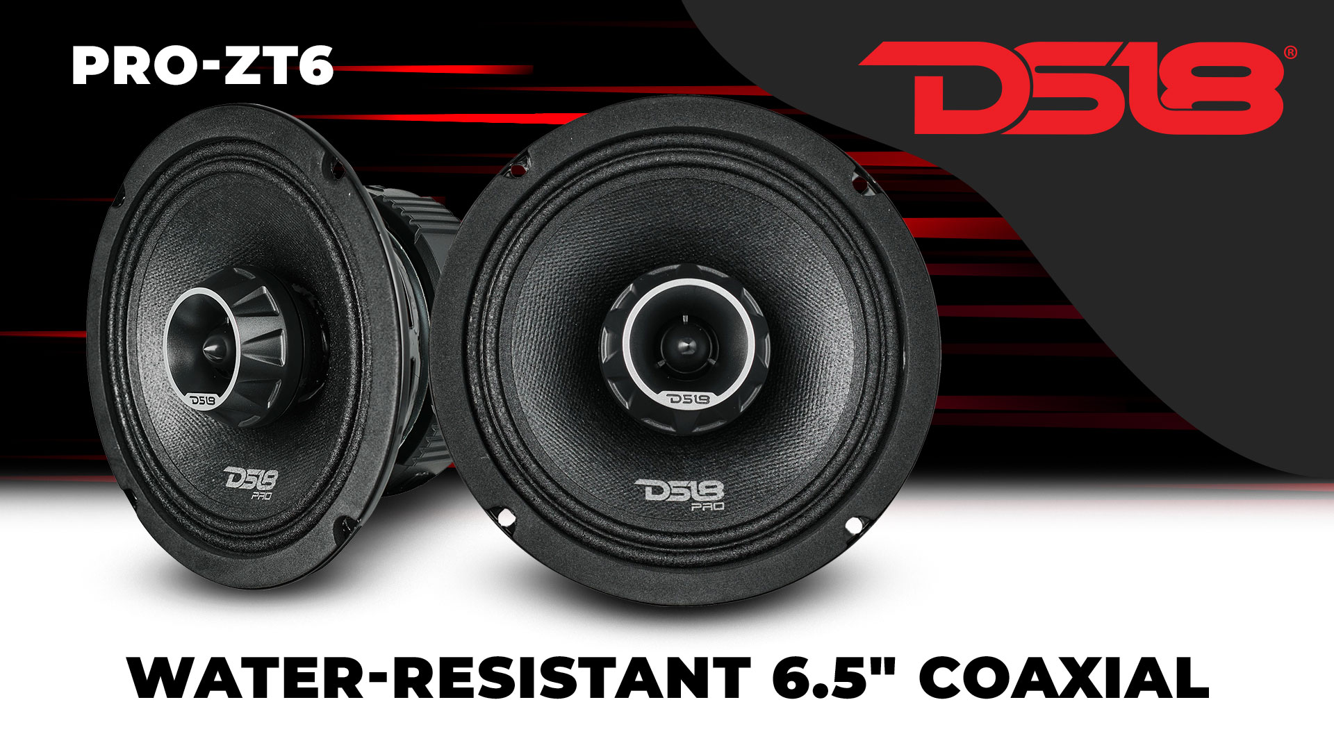 Amazon.com: DS18 PRO-ZT6 6.5