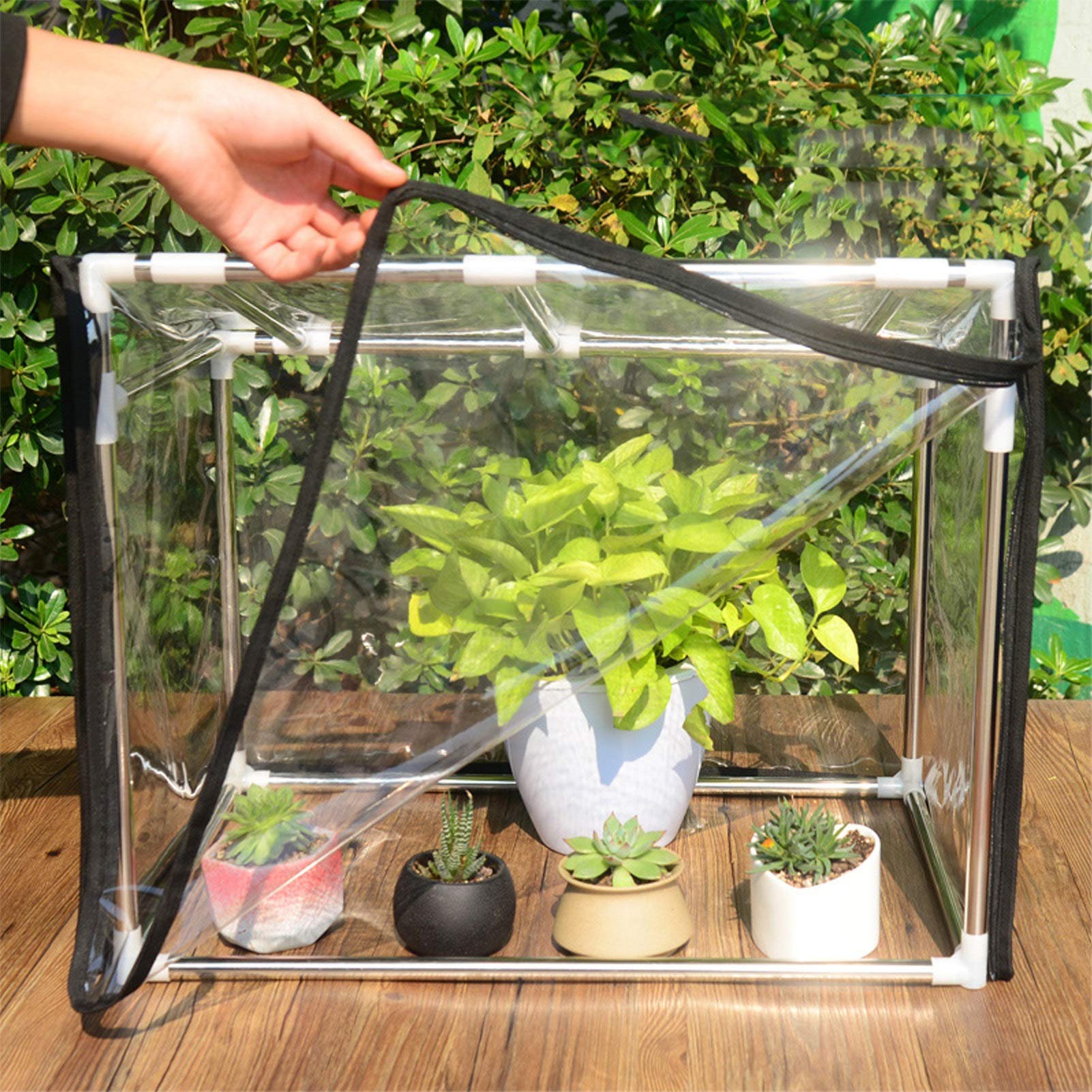 Amazon.co.jp: ビニールハウス ガーデン温室 花園温室 植物の温室 ミニ