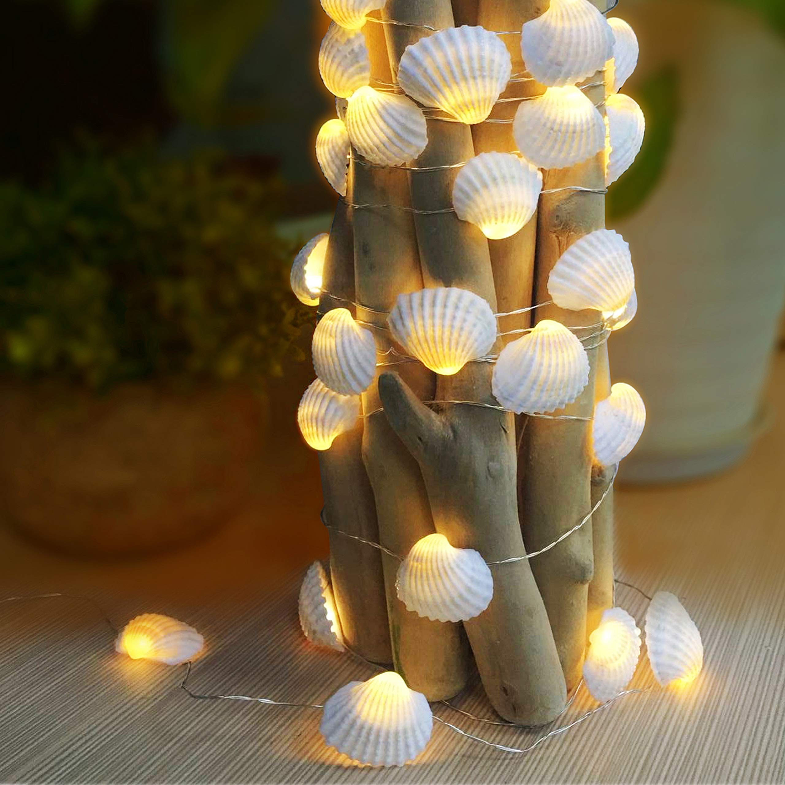 Amazon.com: WSgift Natural Beach Seashell String Lights 13.85 Ft