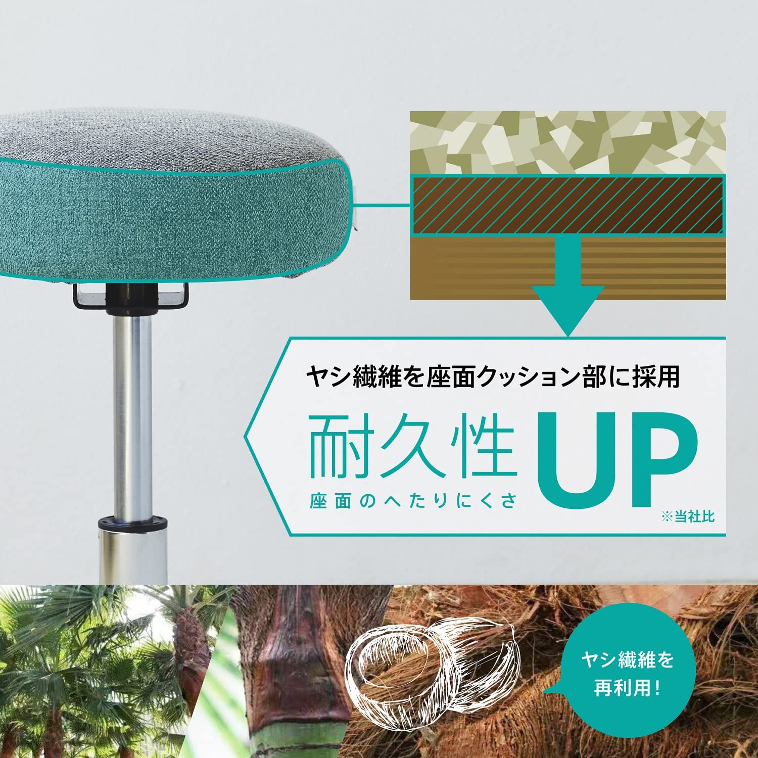 Amazon | MIZUNO(ミズノ) 健康器具 ル・プリエスクワット 座って
