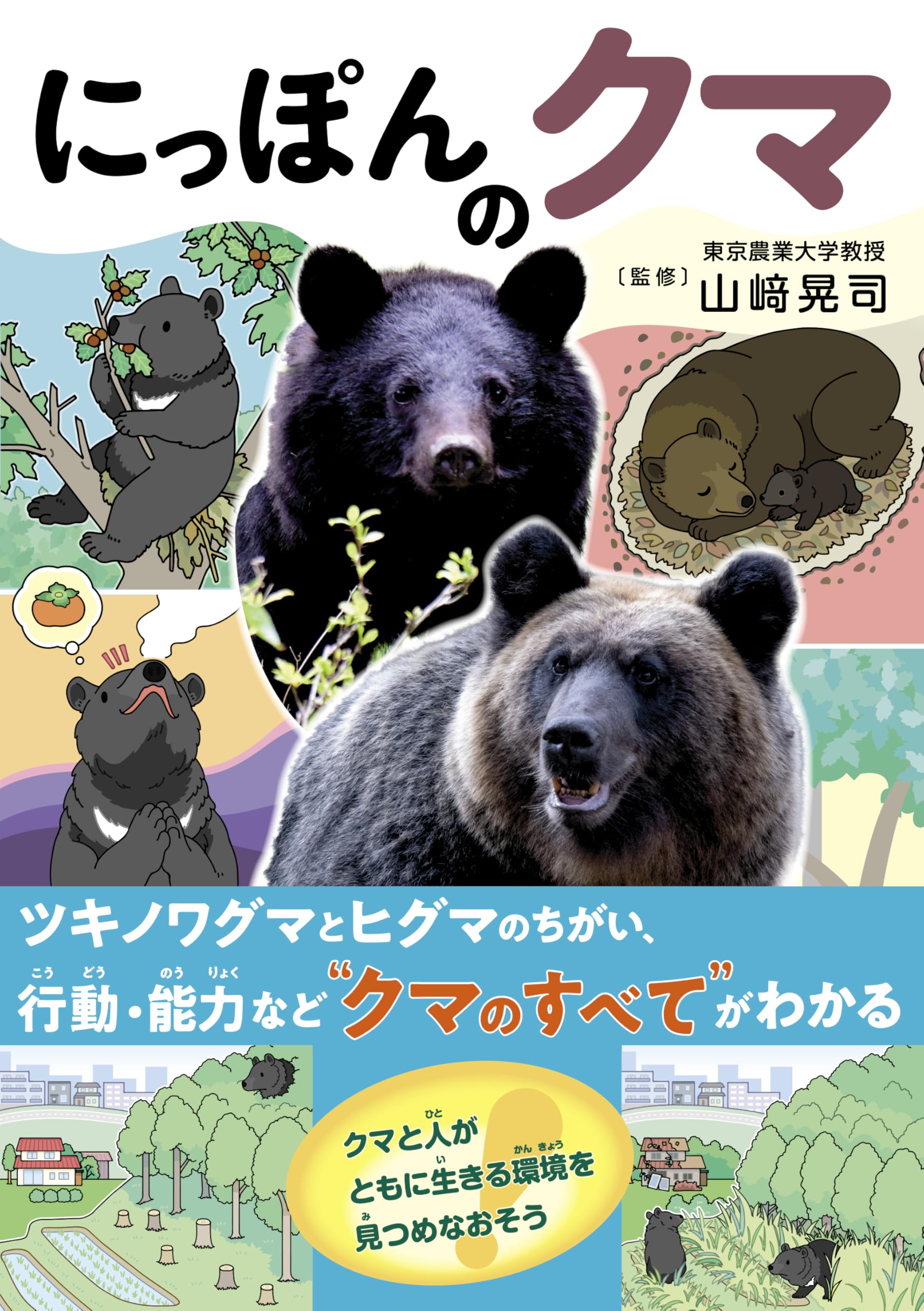 にっぽんのクマ | 山﨑晃司 |本 | 通販 | Amazon