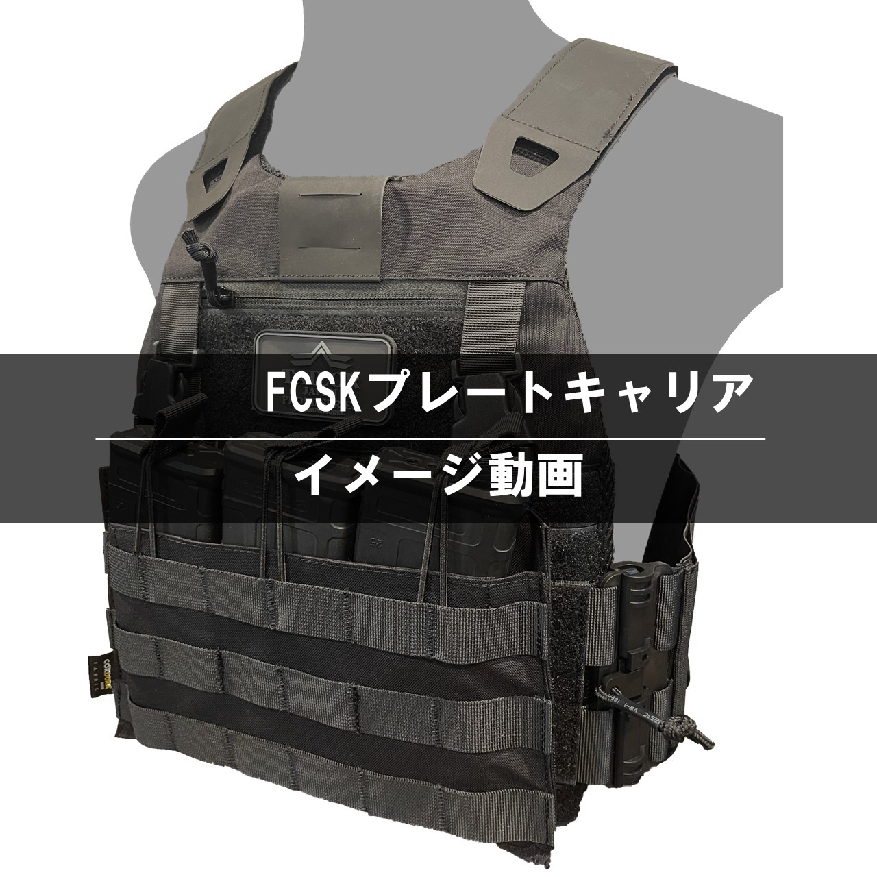 81e7fZTQF+L.jpg