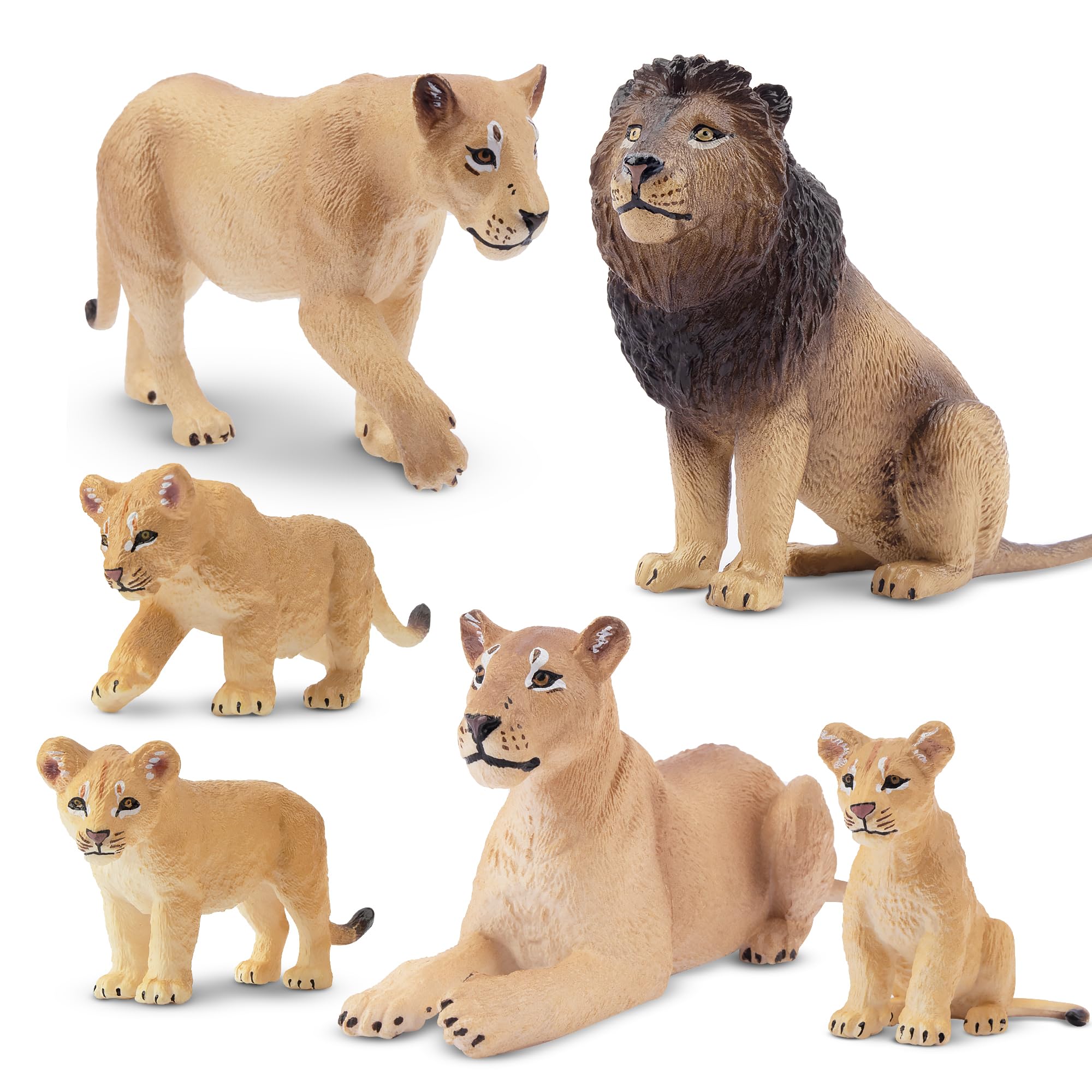 Amazon.co.jp: TOYMANY 6PCSライオンフィギュアセット 野生動物
