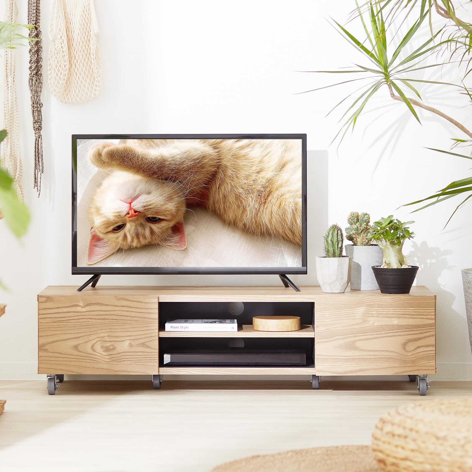 Amazon｜LOWYA ロウヤ テレビボード テレビ台 幅120 収納 ローボード