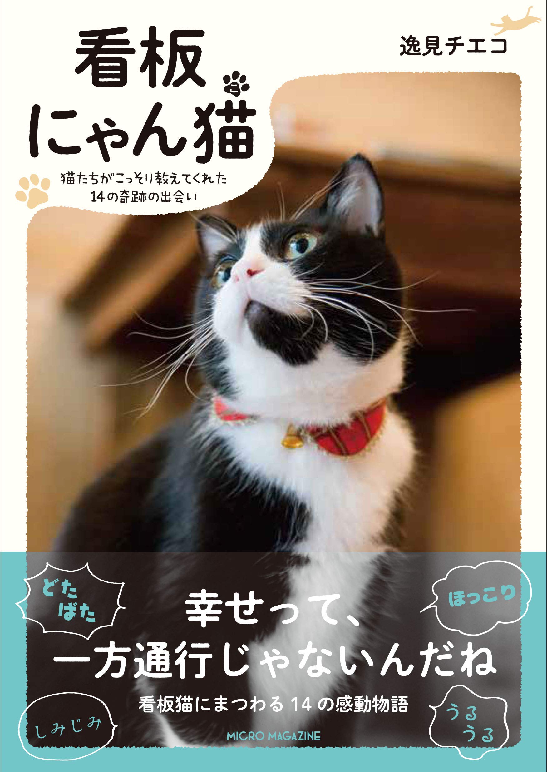 看板にゃん猫 －猫たちがこっそり教えてくれた14の奇跡の出会い