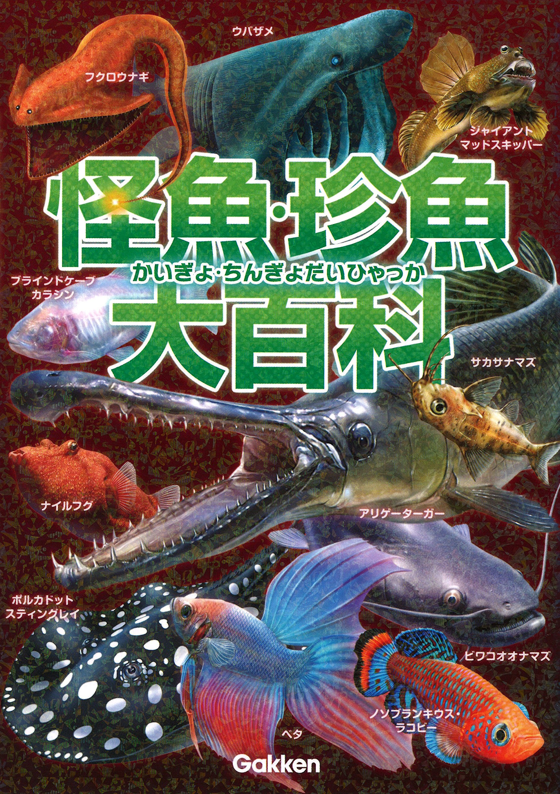Amazon.co.jp: 怪魚・珍魚大百科 : 本村浩之: 本