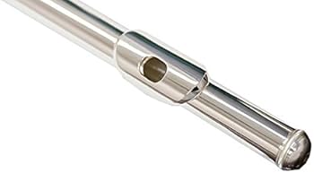 Amazon | 【国内正規品】 PLAYTECH プレイテック フルート PTFL-200