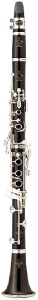Amazon.co.jp: Buffet Crampon R13 B♭ クラリネット R13 B