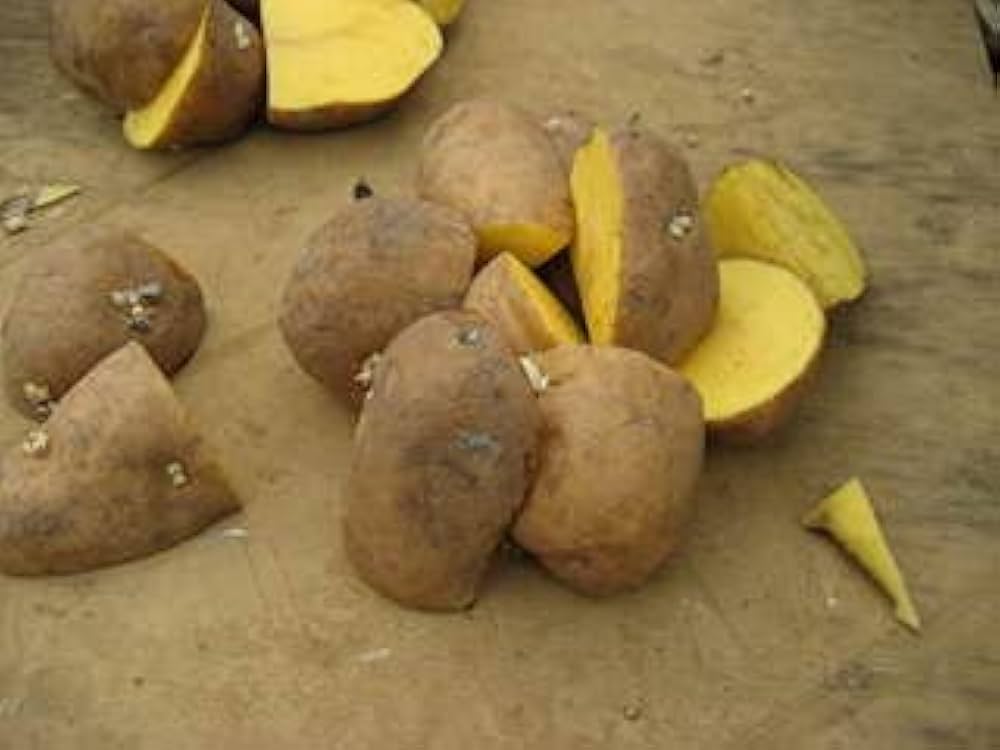Amazon.co.jp: 種芋 インカのめざめ 北海道産 じゃがいも 5kg（正規品