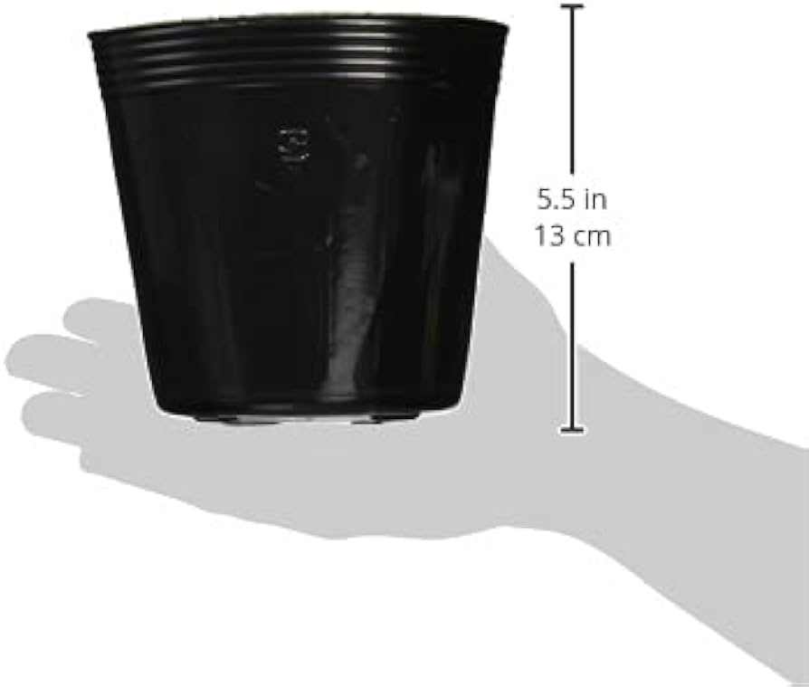 Amazon.co.jp: 石本マオラン ポリポット 15cm 100個入 黒 : DIY・工具